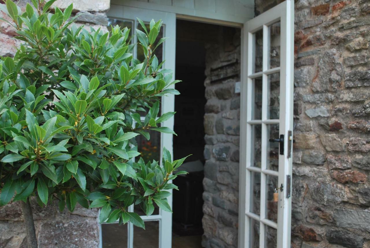 Fenny Castle Vineyard Cottage Wookey Exterior foto