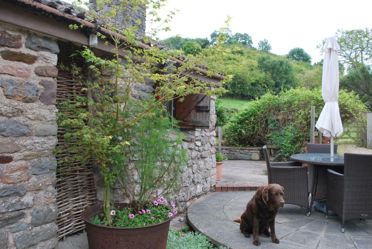 Fenny Castle Vineyard Cottage Wookey Exterior foto
